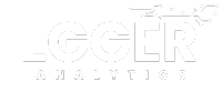 LGGER Analytics: Management Consulting Firm